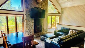 Smart TV, chimenea y libros