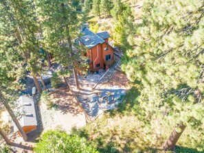 A lodge surrounded by dense pine trees, with a clear view of the main building and its surroundings. - W House in BLS, Game Room, Fire Pit, Hot Tub, Central AC&Heat, Pet friendly! (Arnold)