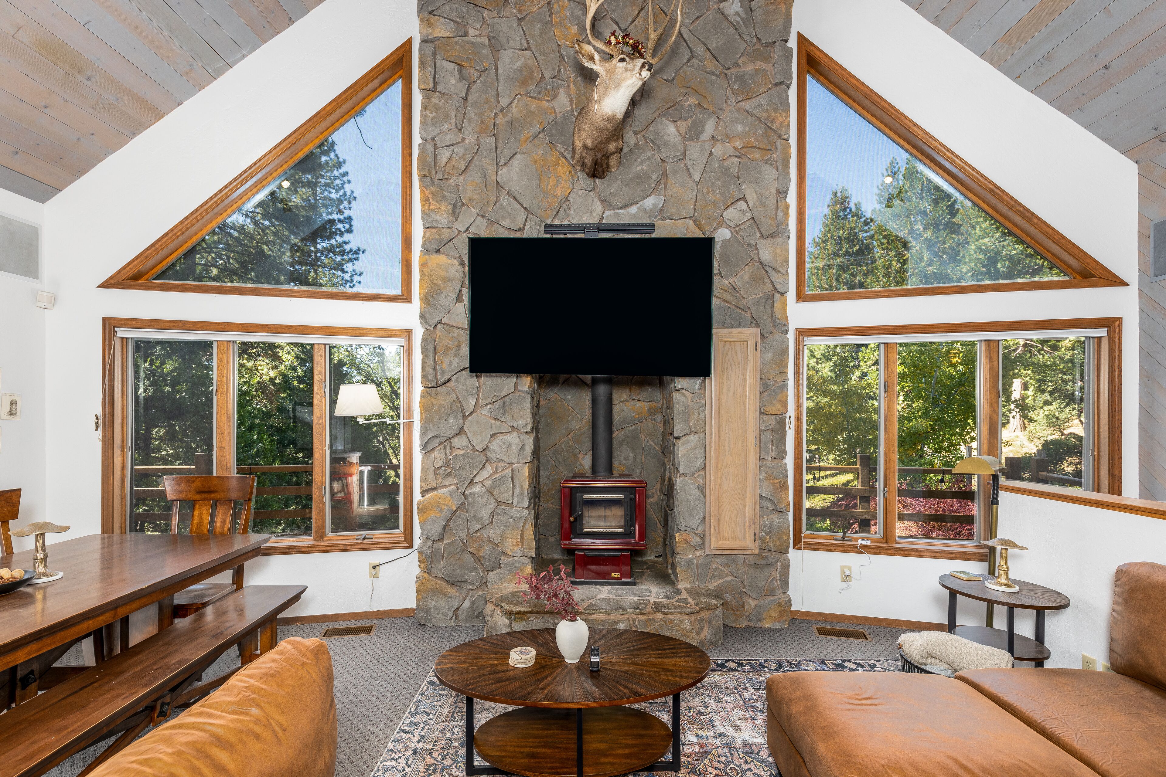 智能电视、壁炉、书