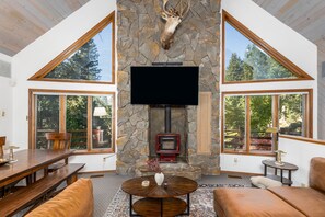 TV connectée, cheminée, livres