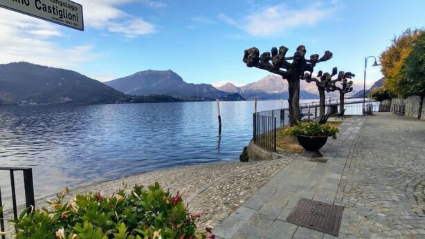 A waterfront promenade with a stone pathway, a metal fence, and a row of trees with hanging sculptures. - Punta Grumo 2 by Interhome (Lierna)