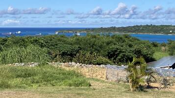 A coastal landscape with dense vegetation, a stone wall, and a solar panel structure.