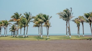 Exterior - Los Olivos la Playa  (Puerto San Jose)