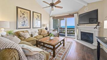 Televisión, chimenea y reproductor de DVD