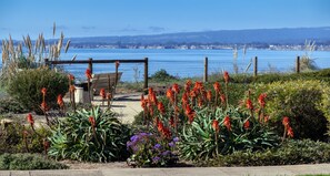 Property grounds - Rare 3/3 Premier Unit at Seascape! (Aptos)