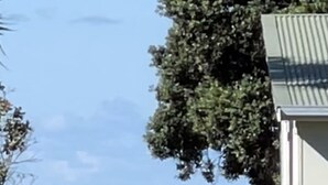 Una propiedad frente a la playa con un edificio pequeño, una valla de madera y vistas al océano.