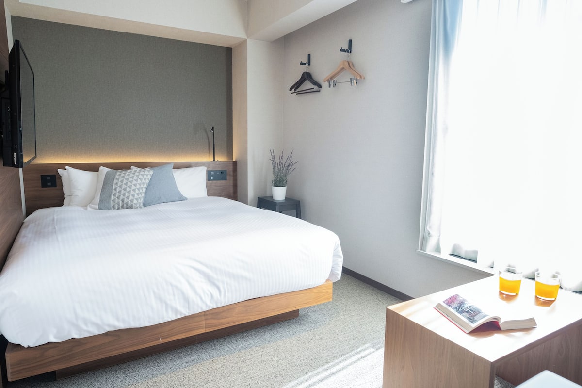 A modern hotel room with a large bed, bedside tables, a small side table with a plant, and a window with natural light.