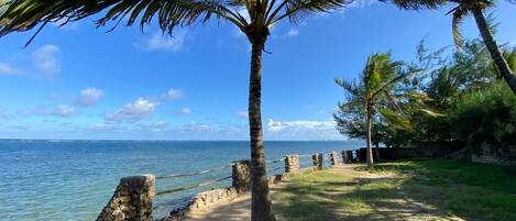 Beach/ocean view