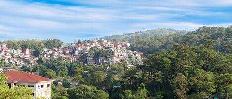 A hillside town with densely packed buildings and lush green trees.
