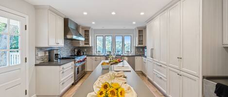 Fridge, oven, stovetop, dishwasher