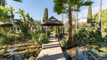 Terrein van de accommodatie