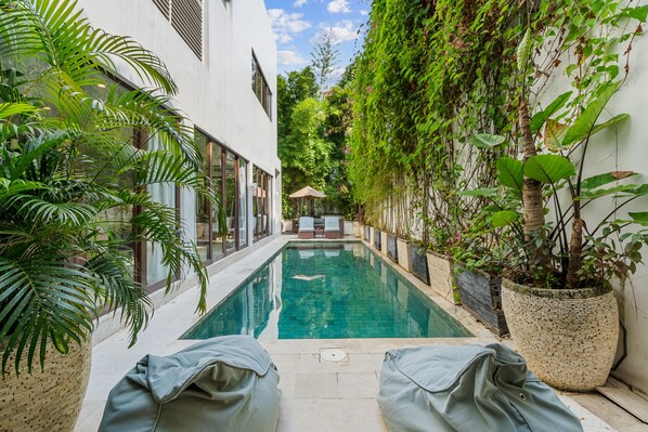 Pool - BLANCA VILLA by Hombali (Canggu)