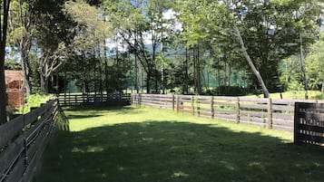Property grounds