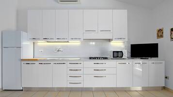 Fridge, microwave, stovetop, cookware/dishes/utensils