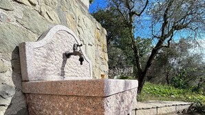 Une fontaine en pierre, dotée d’un bassin incurvé et d’un bec verseur, est adossée à un mur de pierre, avec un arbre en arrière-plan.