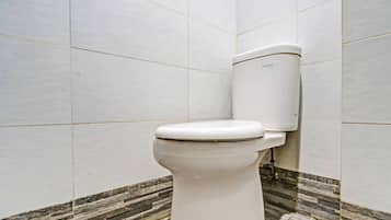 Shower, towels, toilet paper