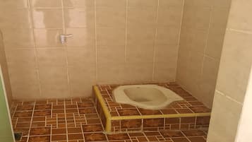 Douche, serviettes fournies, papier toilette