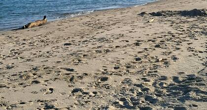 Du bon et beau temps en Tout Compris