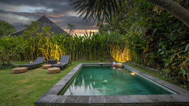 A rectangular pool with a stone border, surrounded by lush greenery and a palm tree. - Casa Sweet Lips by Betterplace (Canggu)