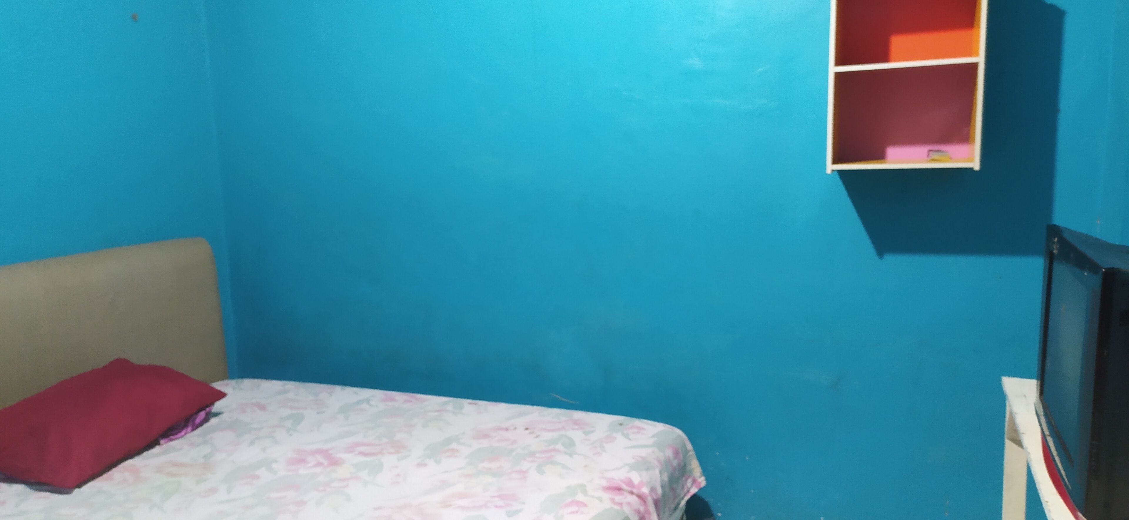 A room with a bed, a red pillow, a blue wall, and a small shelf.
