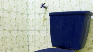 Een toilet met een donkerblauwe zitting en deksel, voor een muur met bloemmotieven op de tegels.