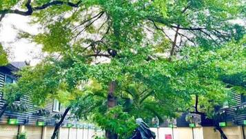 Un árbol con una escultura en el centro de una zona pavimentada.