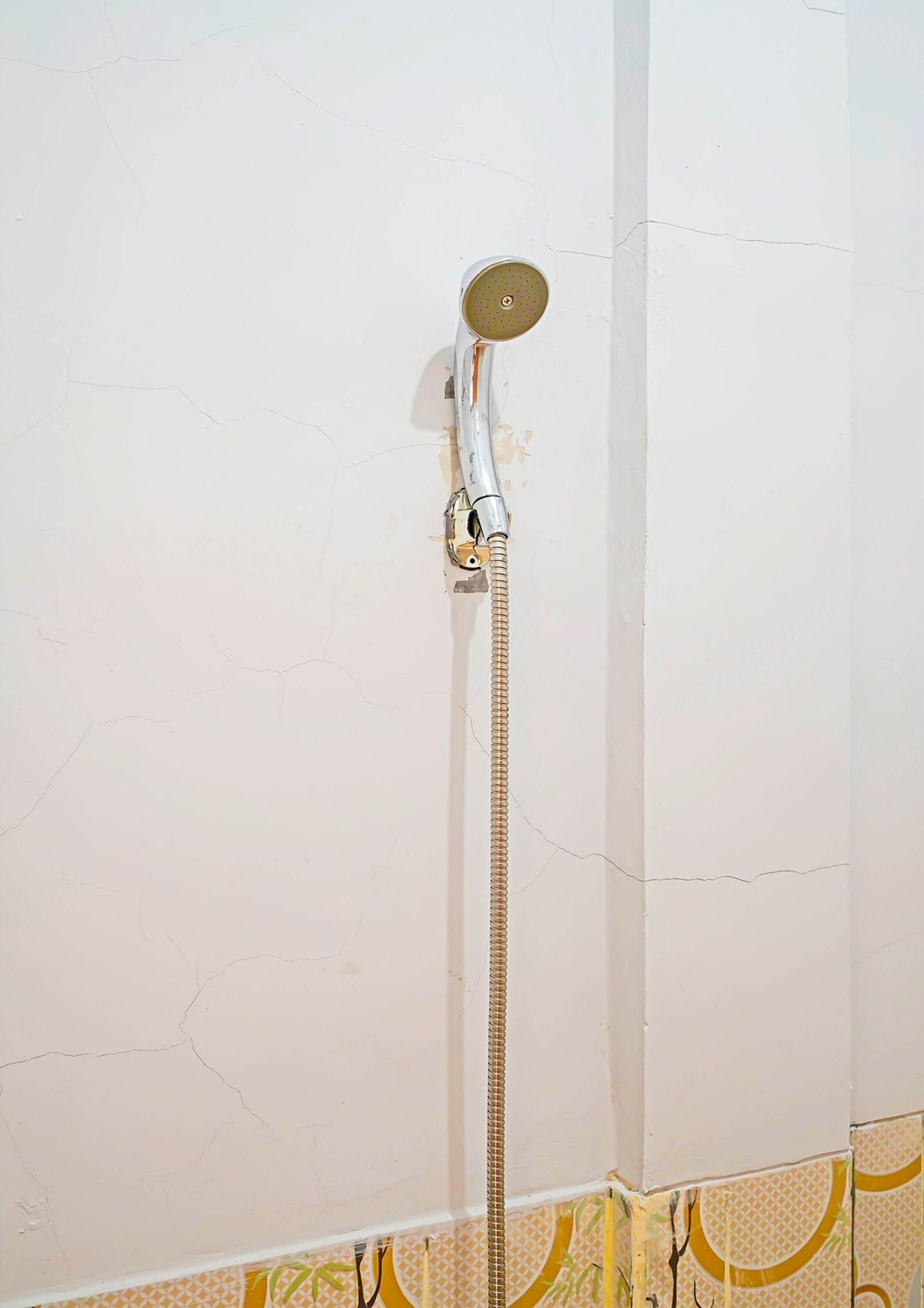 Shower, towels, soap