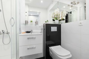 Shower, hair dryer, shampoo