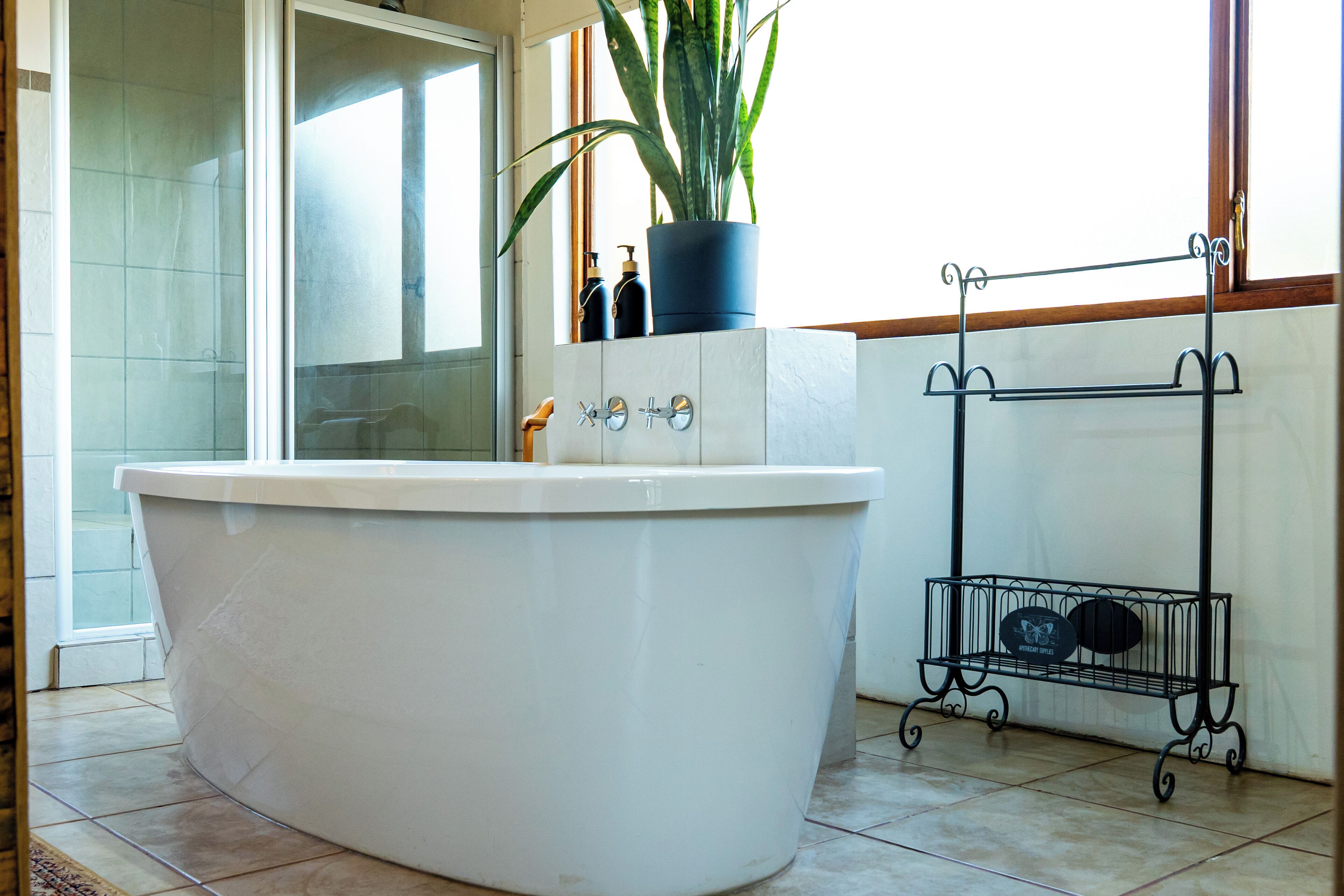 A bathroom with a freestanding bathtub, a potted plant, and a metal rack with bottles.