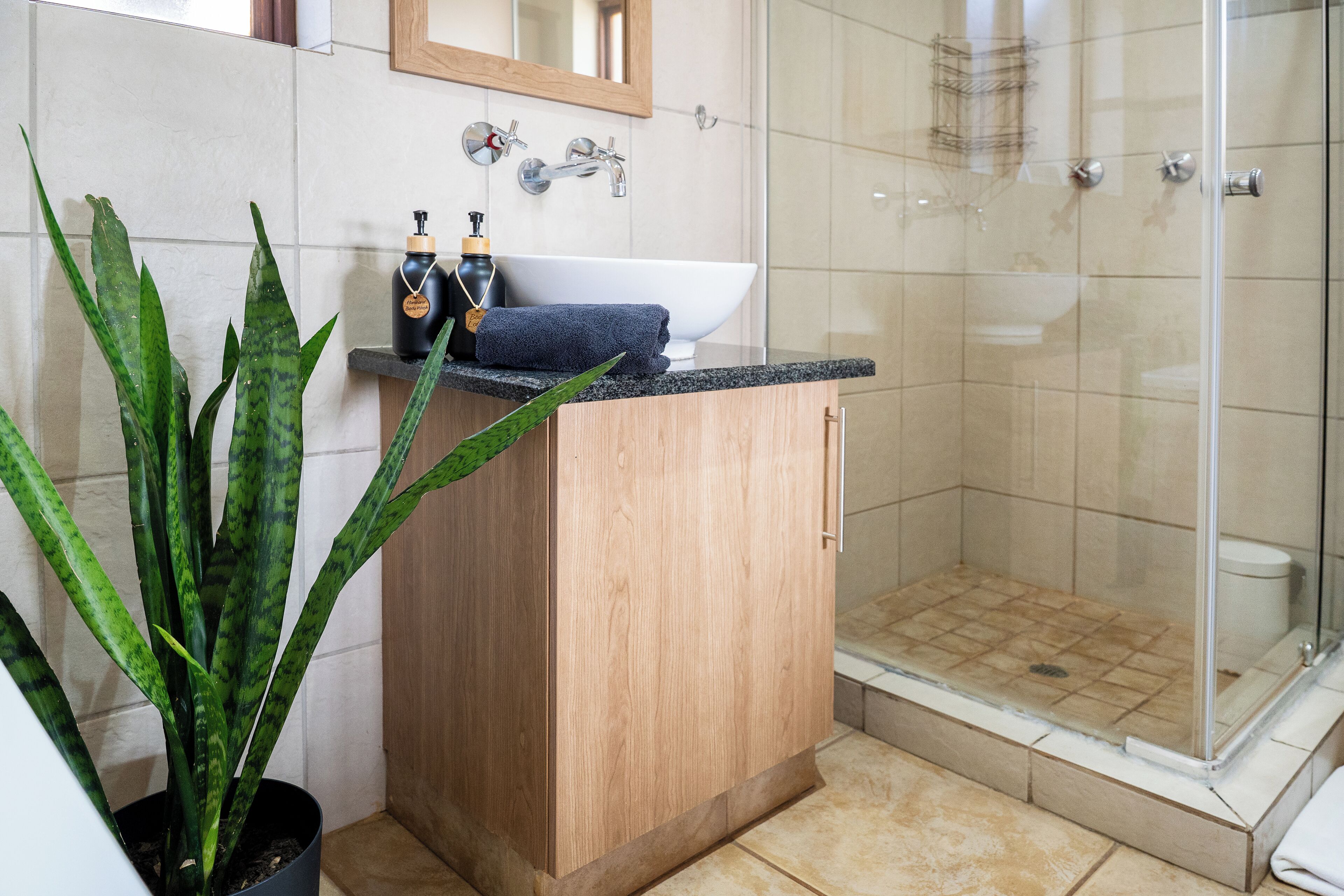 A bathroom with a sink, mirror, shower, and a potted plant.