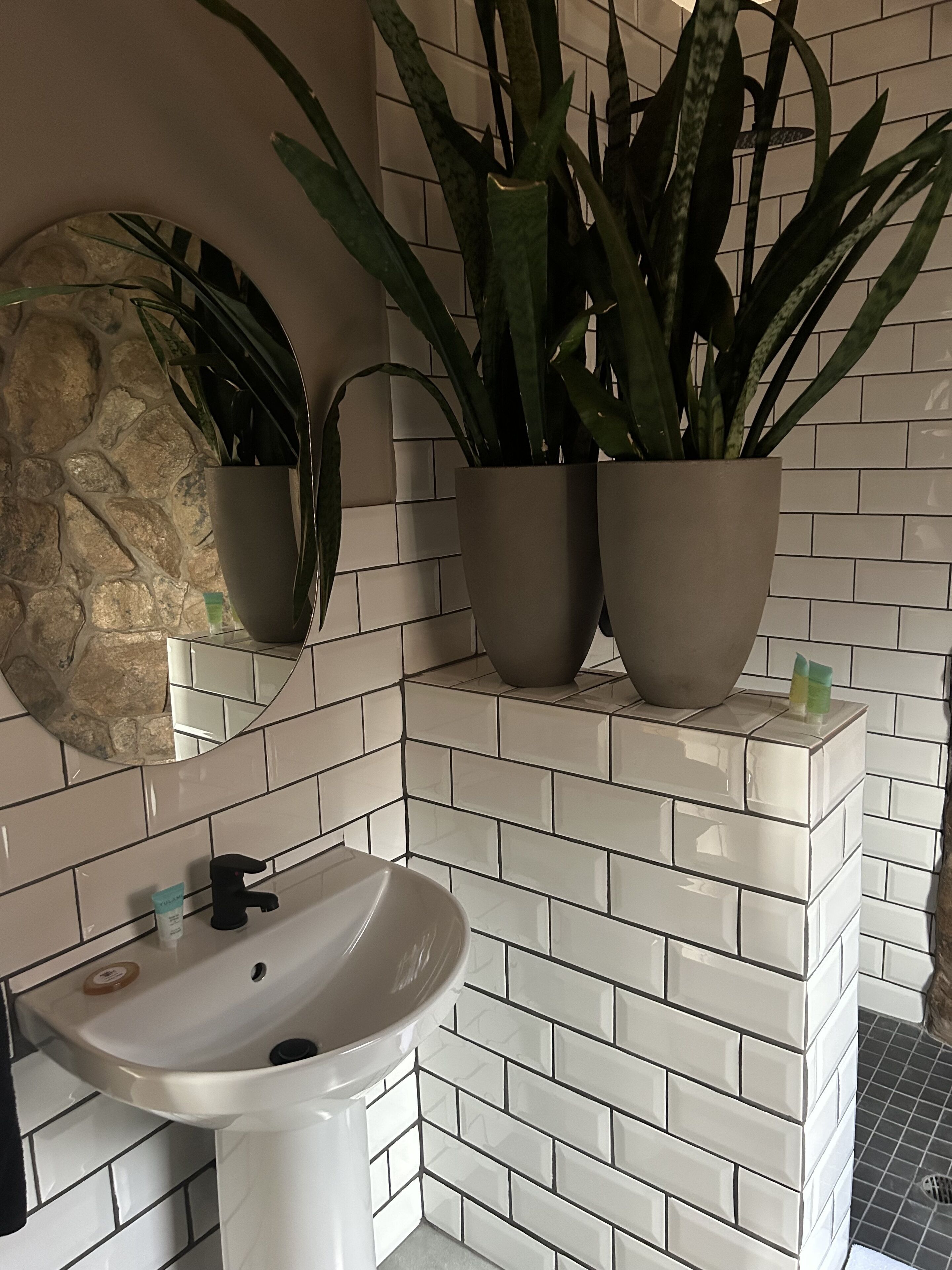 Un baño con un lavamanos blanco, dos plantas en macetas y un espejo.