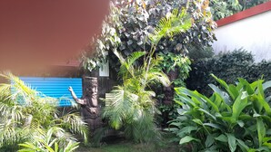 A garden with various plants, a stone statue, and a blue building in the background. - Quartier Calme, Centre Ville, gde Chambre Piscine.................; (noumea)