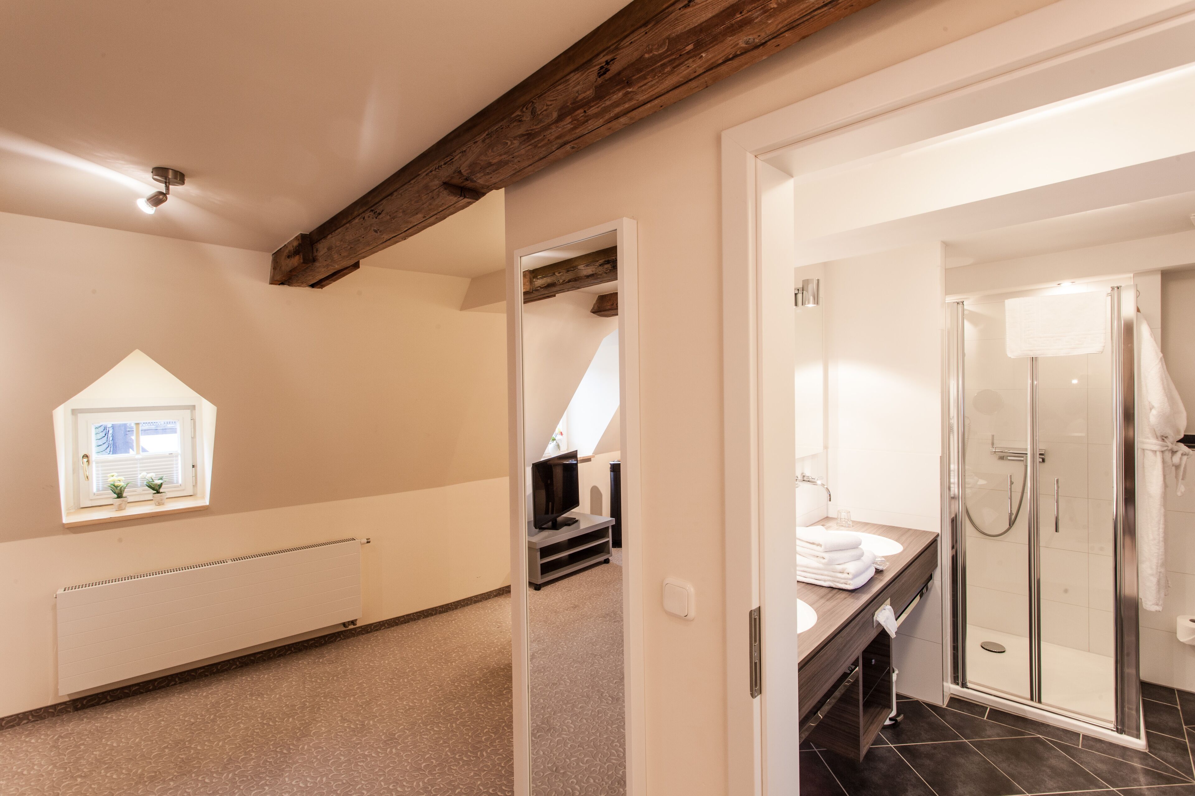 Une chambre d’hôtel moderne avec un plafond en pente, un téléviseur intégré, une salle de bain avec une douche en verre et un radiateur.
