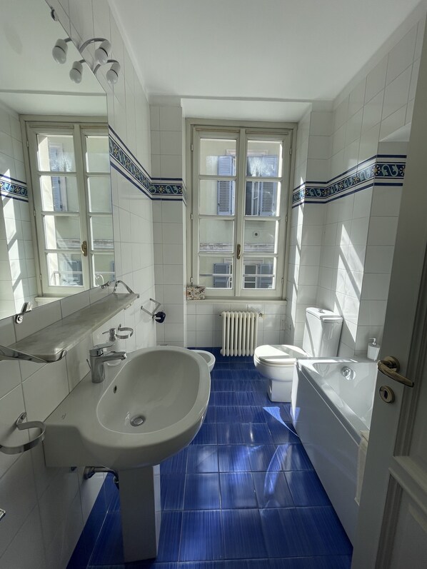 Shower, hair dryer, bidet, towels