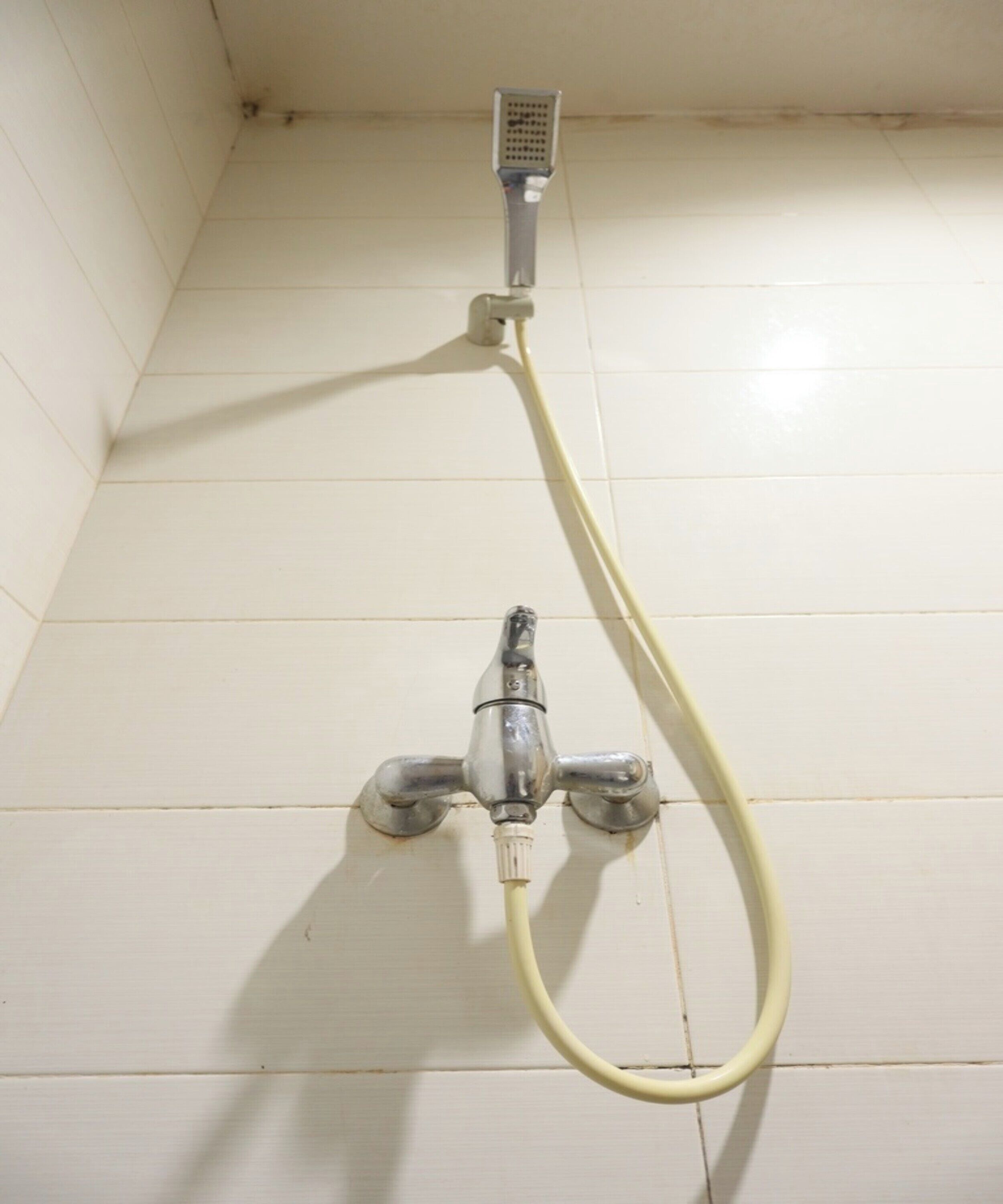 Eine Dusche mit Handbrause und Wandarmatur.