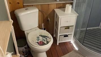 Shower, towels, toilet paper