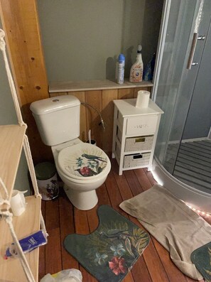 Regadera, toallas, papel de baño 