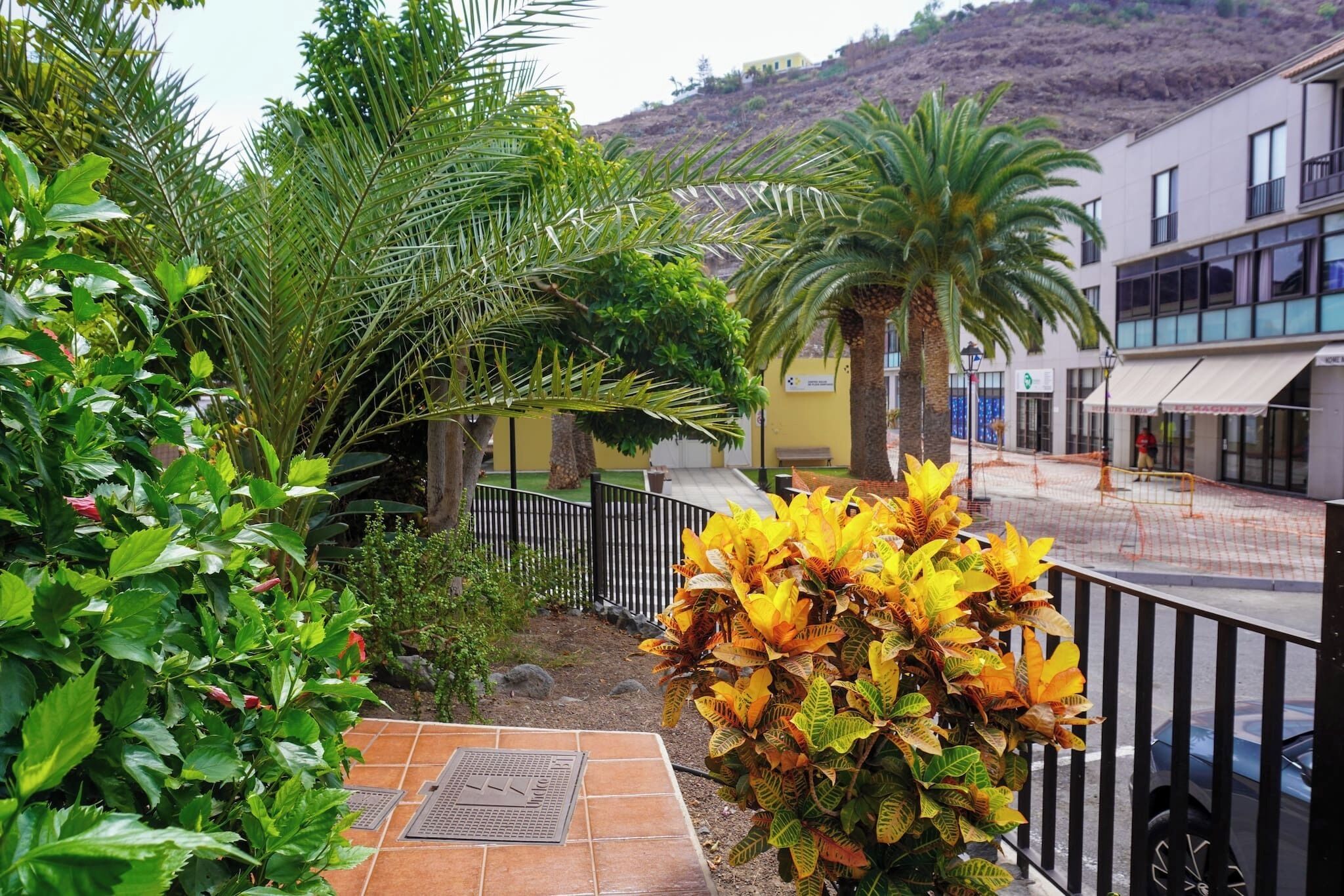Un cortile con palme, un patio piastrellato e un edificio con facciata gialla.