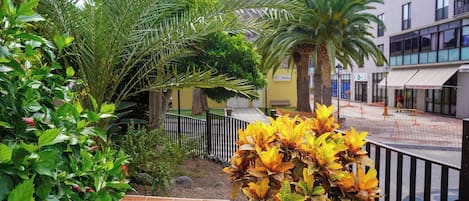 A courtyard with palm trees, a tiled patio, and a building with a yellow facade.