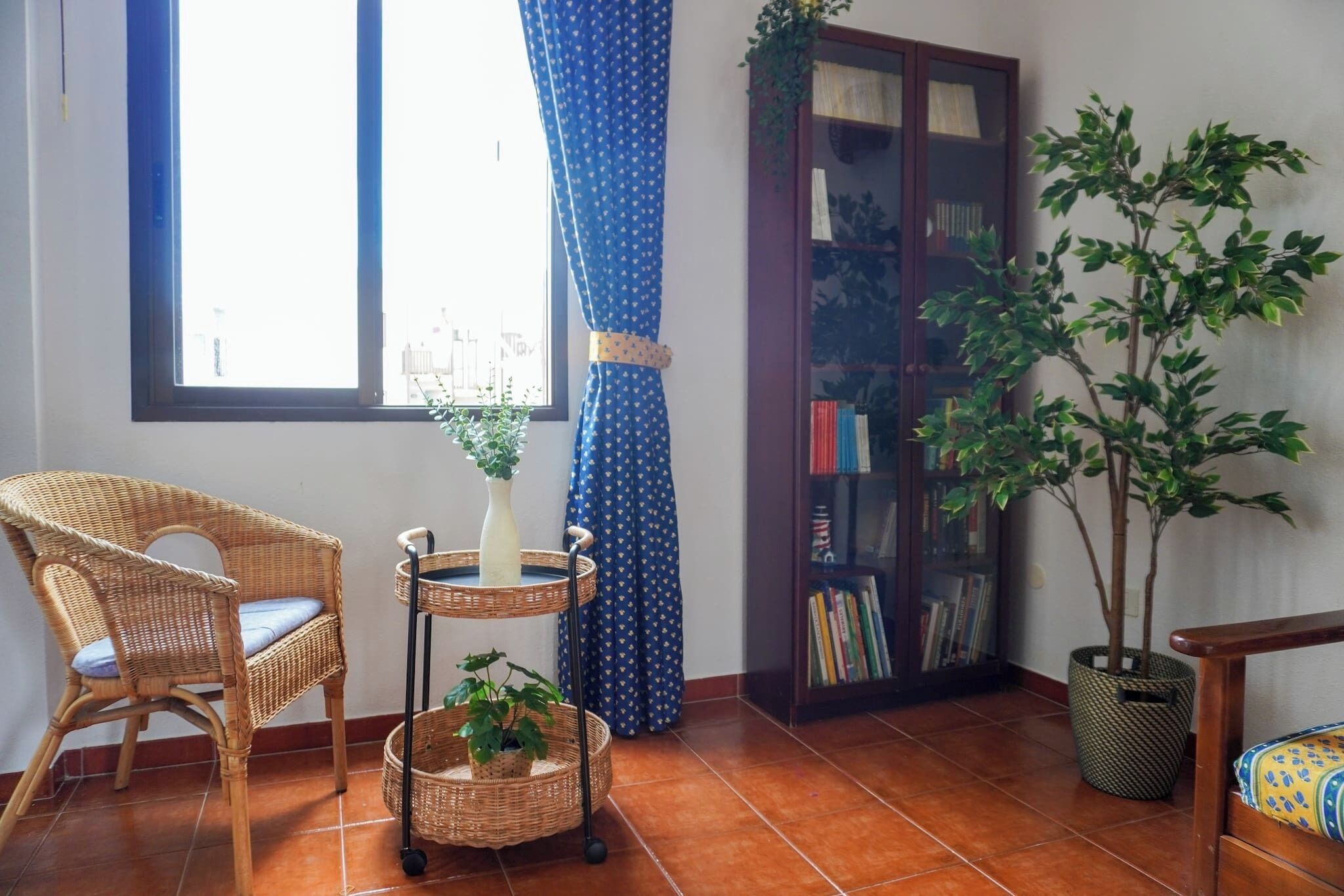 A room with a wicker chair, a small table with a vase and plant, a bookshelf, and a potted tree.