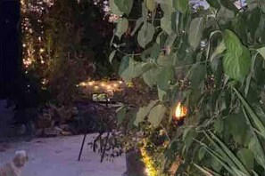 Cottage | Property grounds