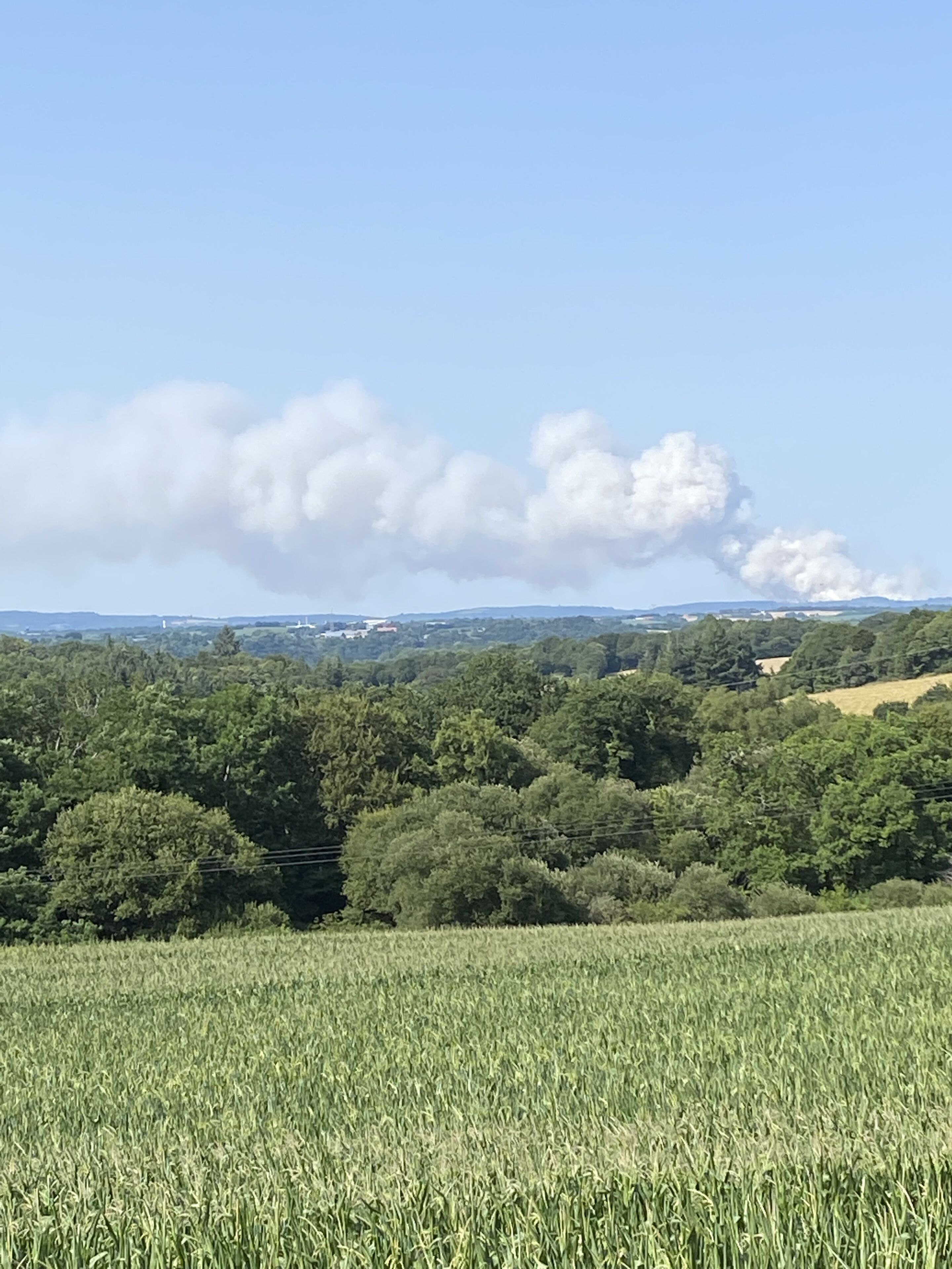 A rural landscape with a field of crops, trees, and a distant smoke plume.