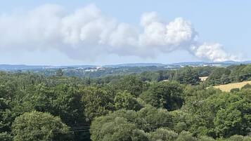 A rural landscape with a field of crops, trees, and a distant smoke plume.
