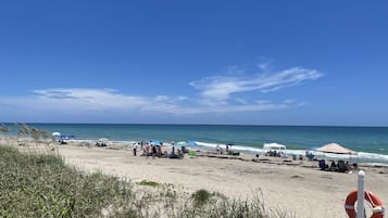 海滩