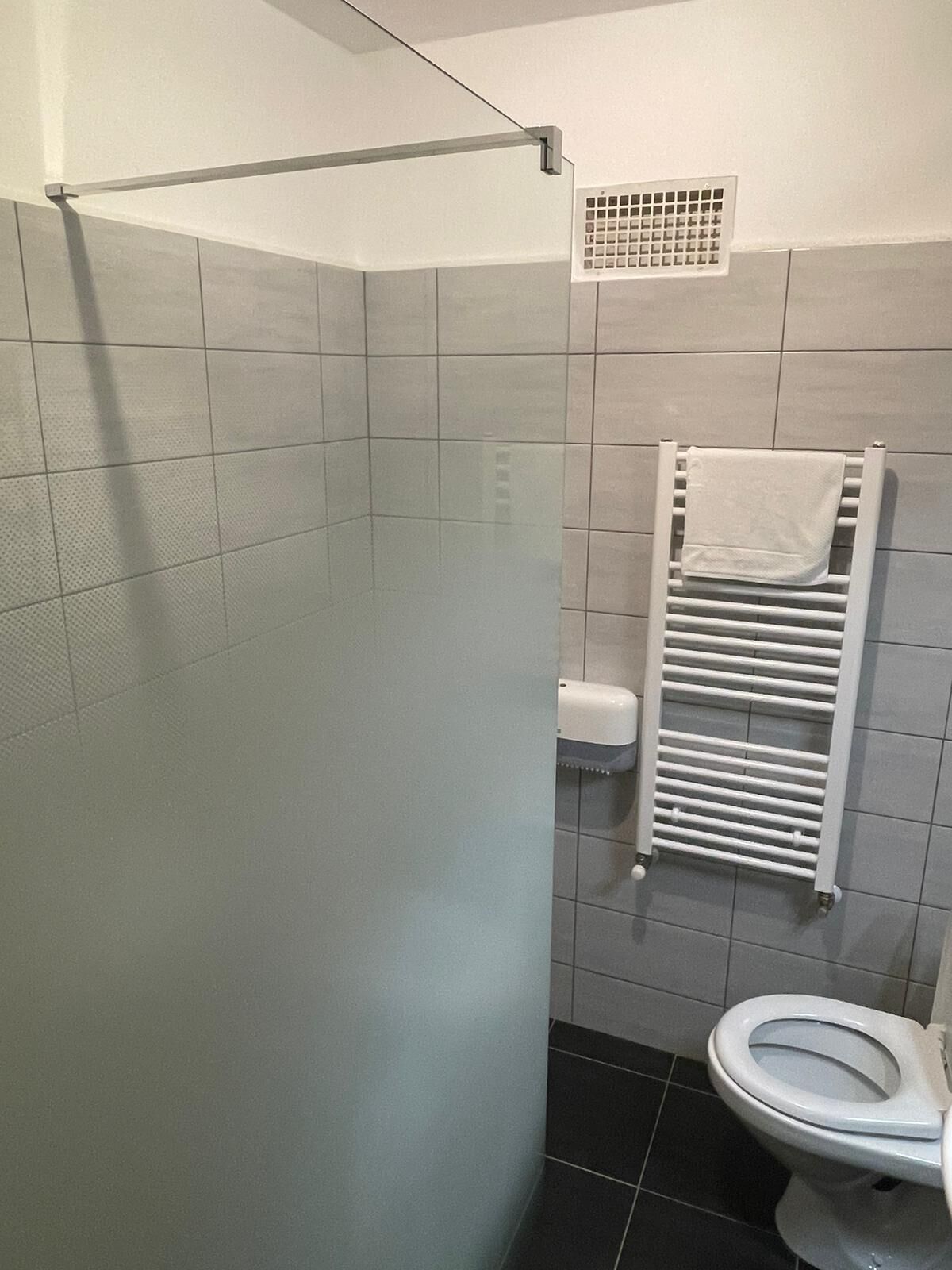 A bathroom with a shower, a toilet, and a towel rack.