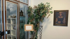 A room with a glass display case, a potted plant, a framed picture, and a sign on the wall. - Gasthof Lublass (Matrei in Osttirol)