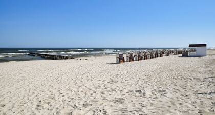 RentPlanet - Shellter