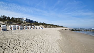 Esterni