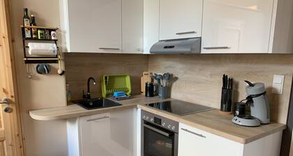 Apartment Leonard, stilvoll - neu sanierte Altbauwohnung