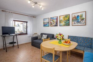 21-英寸纯平电视（配备卫星频道）